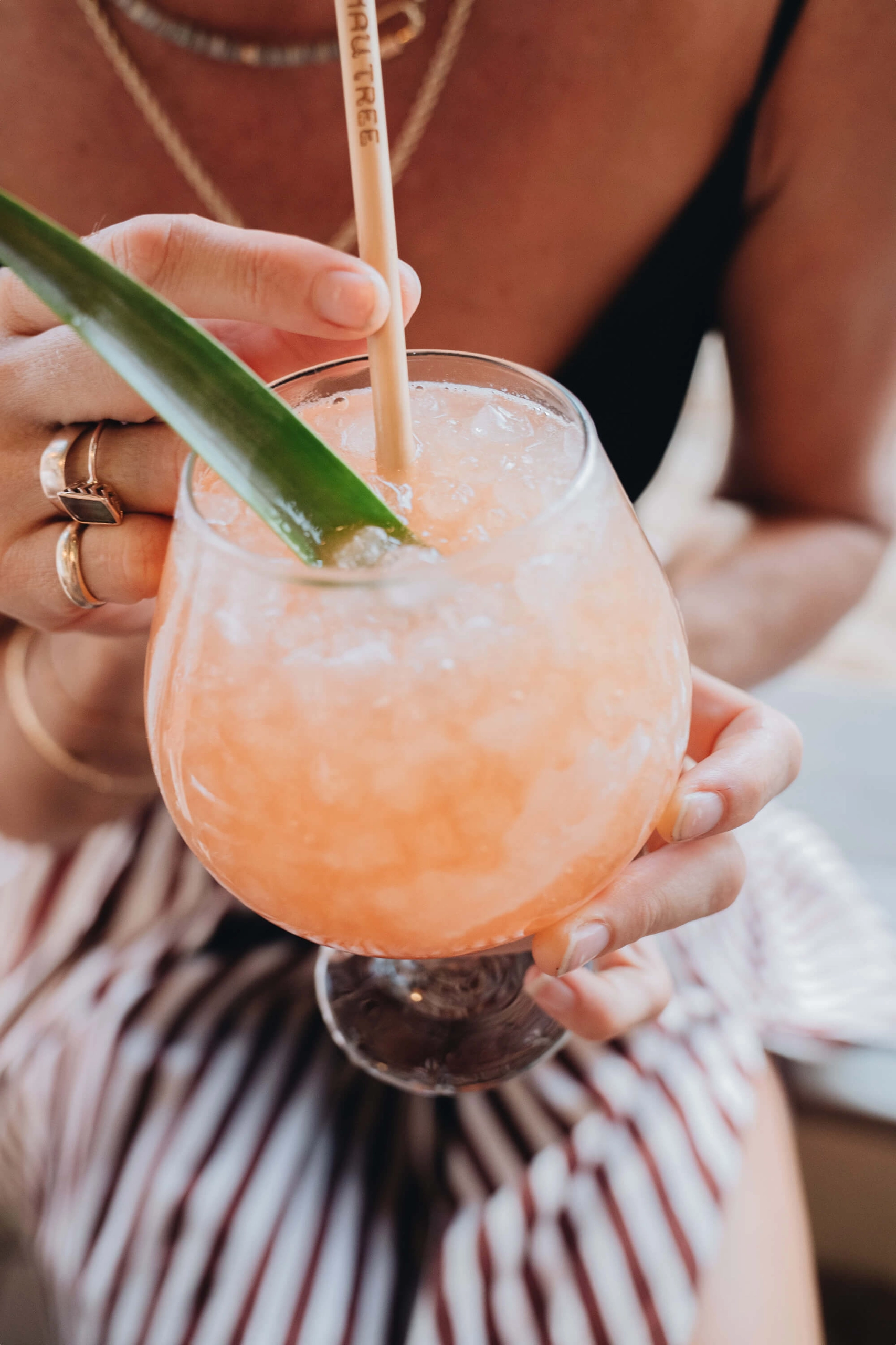 Refreshing pink cocktail with an aloe leaf garnish
