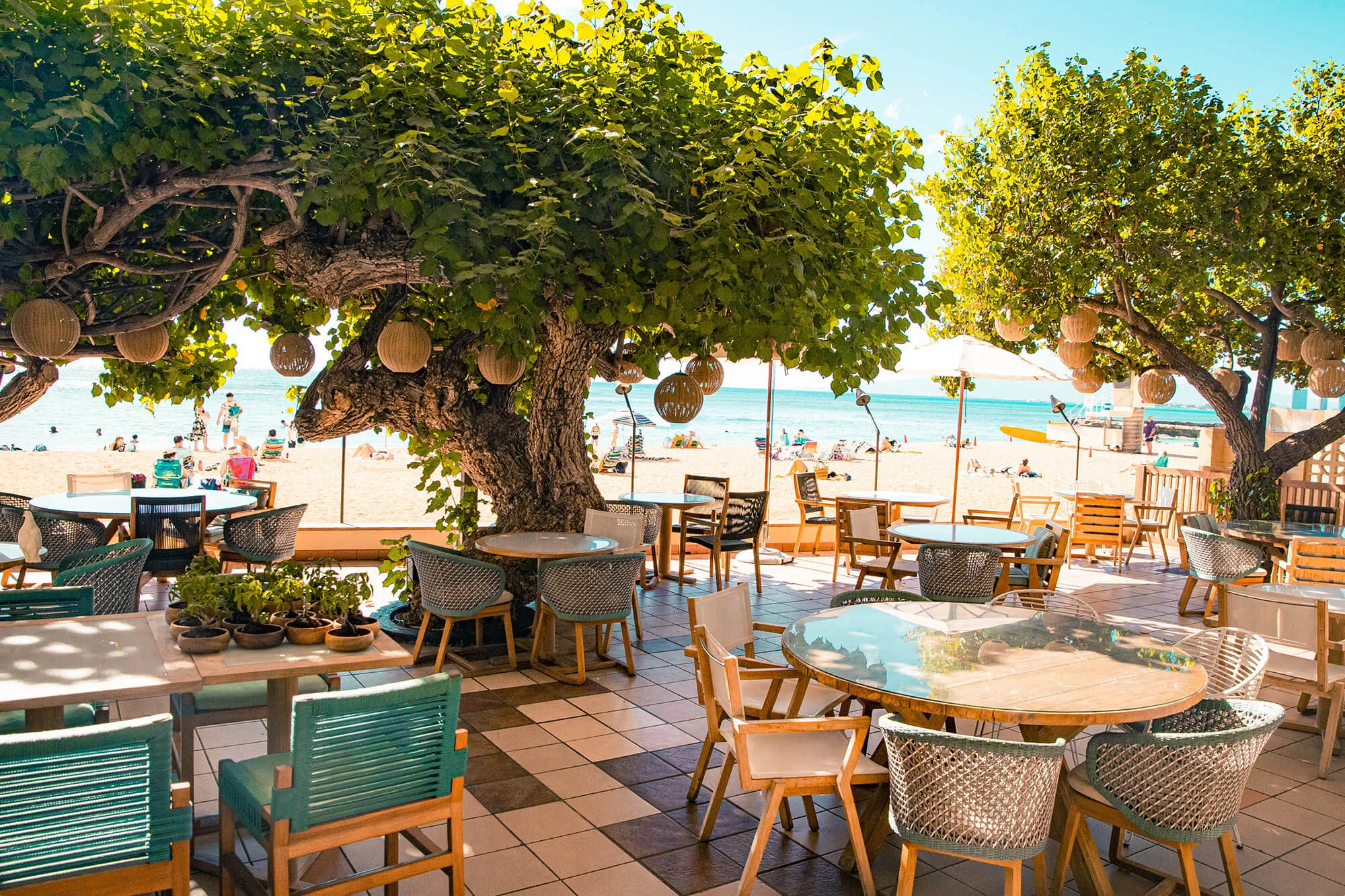 Hau Tree outdoor beachfront dining area